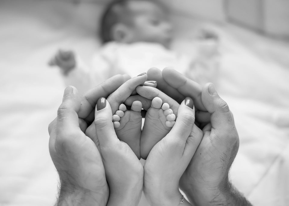 A família do Vicente