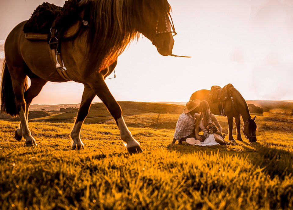 PreWedding Camila e Leonardo l Amor por cavalos l Palmas PR