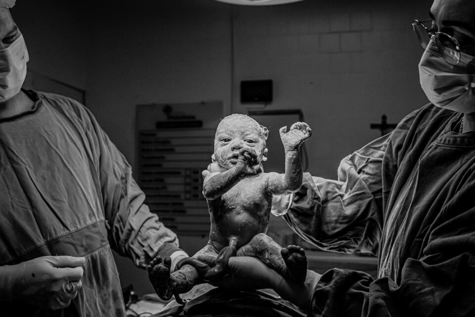 A CHEGADA DA JULIETA